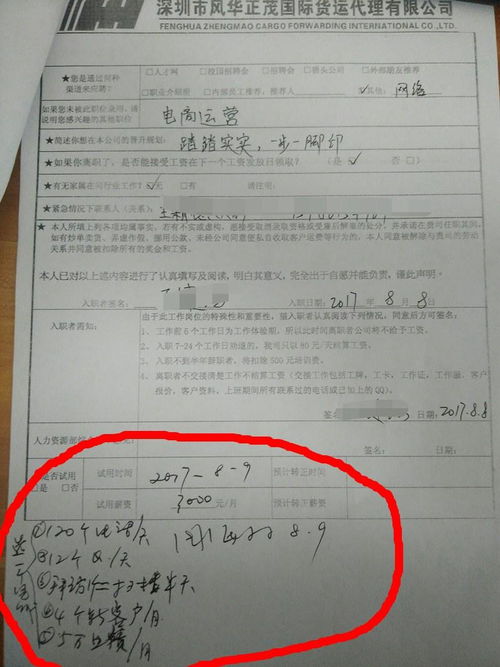 國際貨運(yùn)代理公司 行業(yè)洞察與職業(yè)前景分析